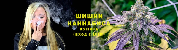 ECSTASY Богородск
