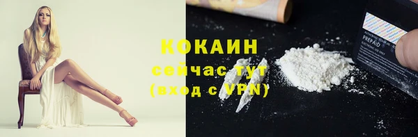 ECSTASY Богородск