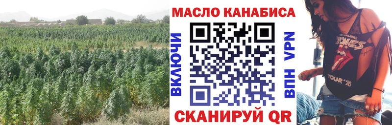 Купить закладки  Опочка  Дистиллят ТГК гашишное масло 