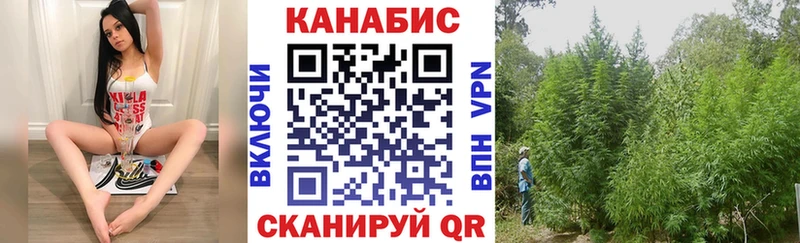 Купить где  Опочка  Марихуана MAZAR 